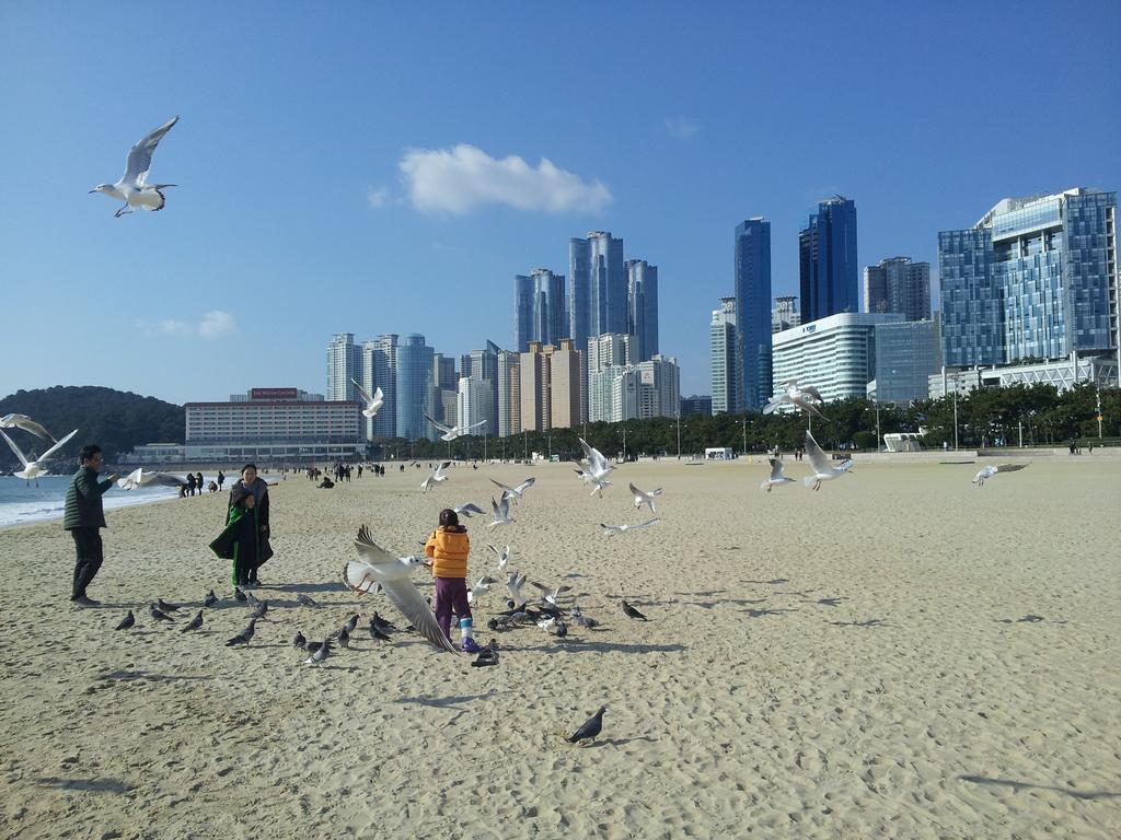 With 2* Busan