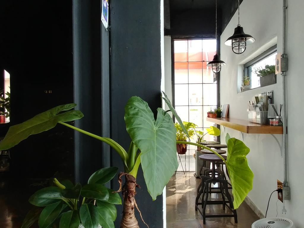 Albergue Good Day Mate