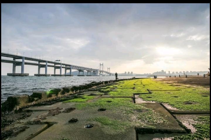 Gwangan Bridge Ocean &city View Cozy House Apartment *