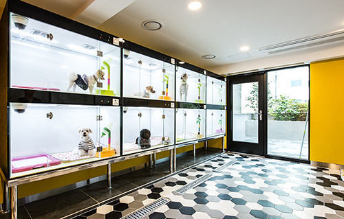 Hotel Sleep With Your Own Pet Only - The Petel