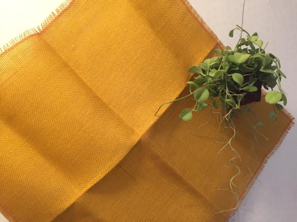 Aimhouse Fabric #101 *