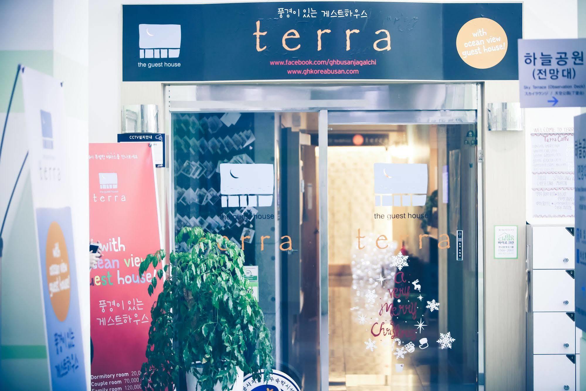 Hostel Terra