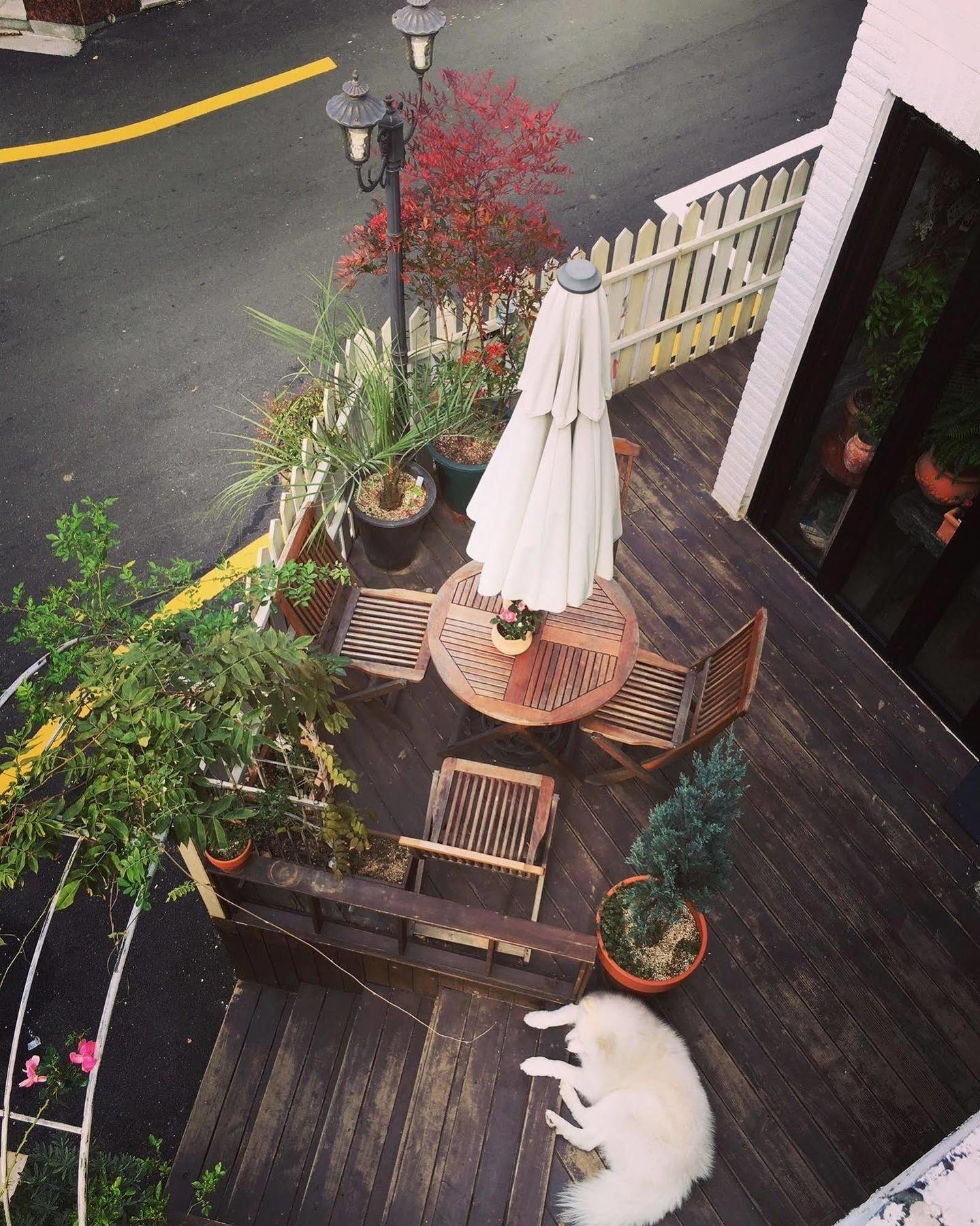 White Island Bed & Breakfast Hostel Busan