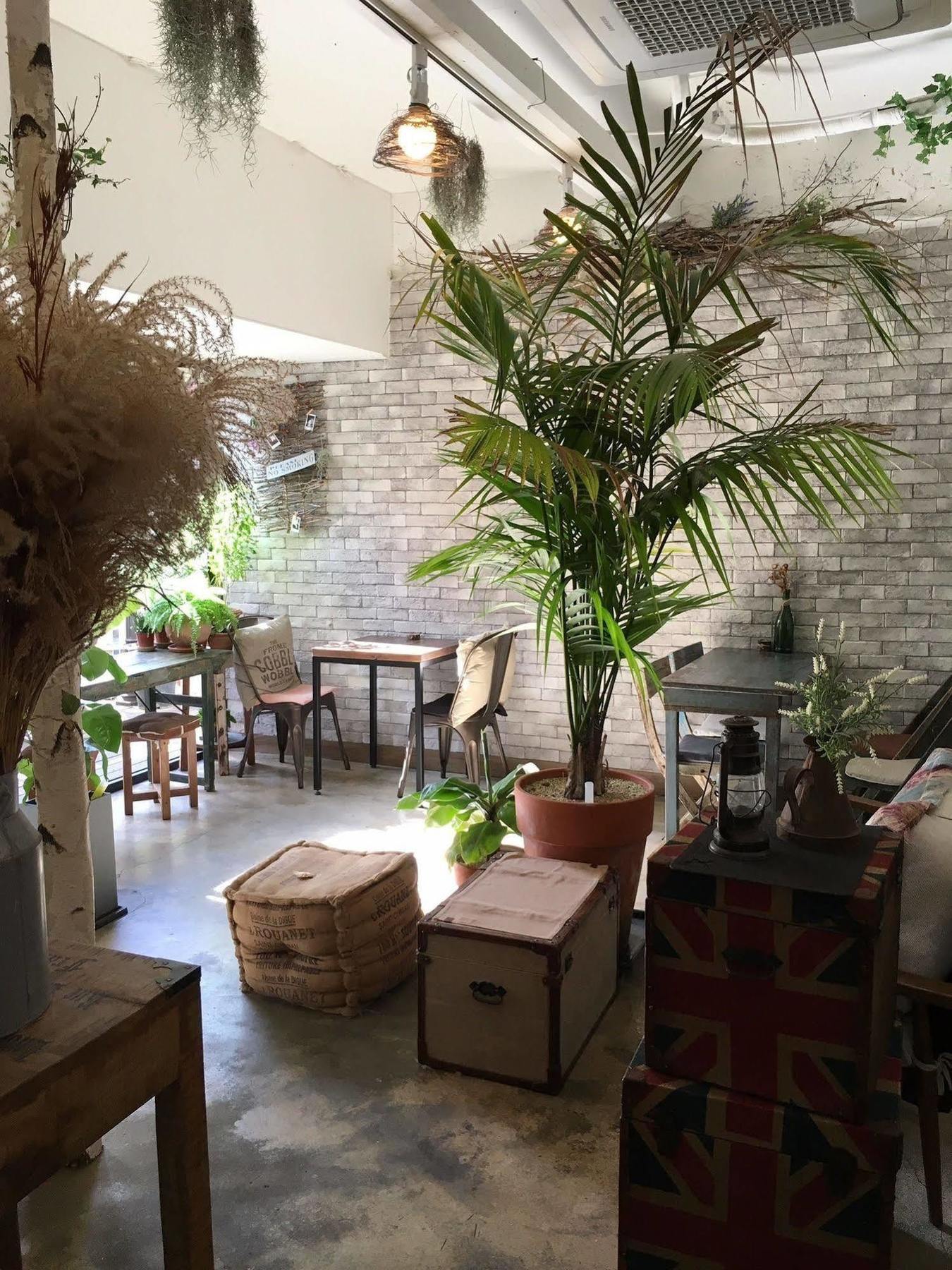Hostel White Island Bed & Breakfast *
