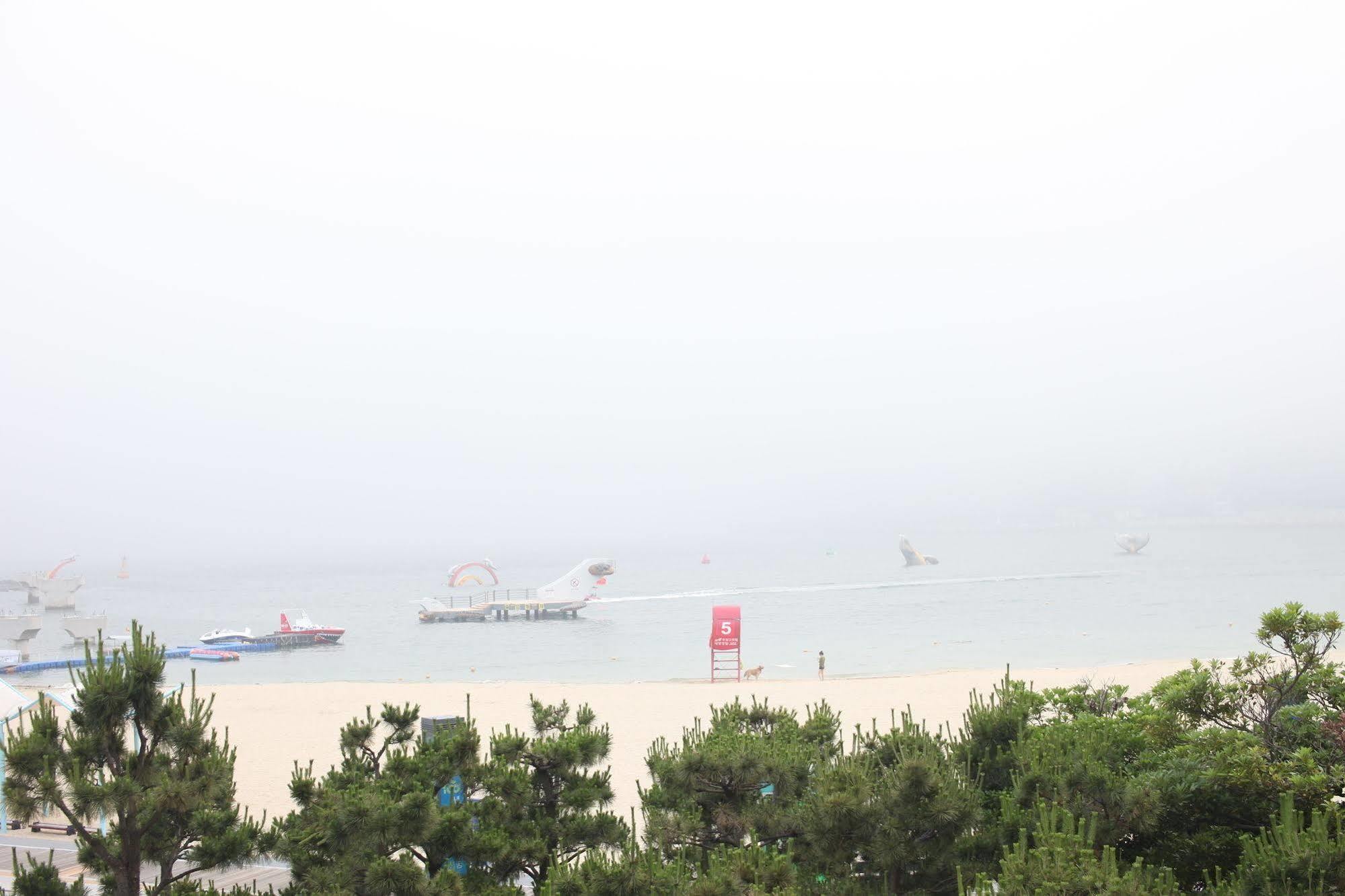 Yellow Songdo 2*