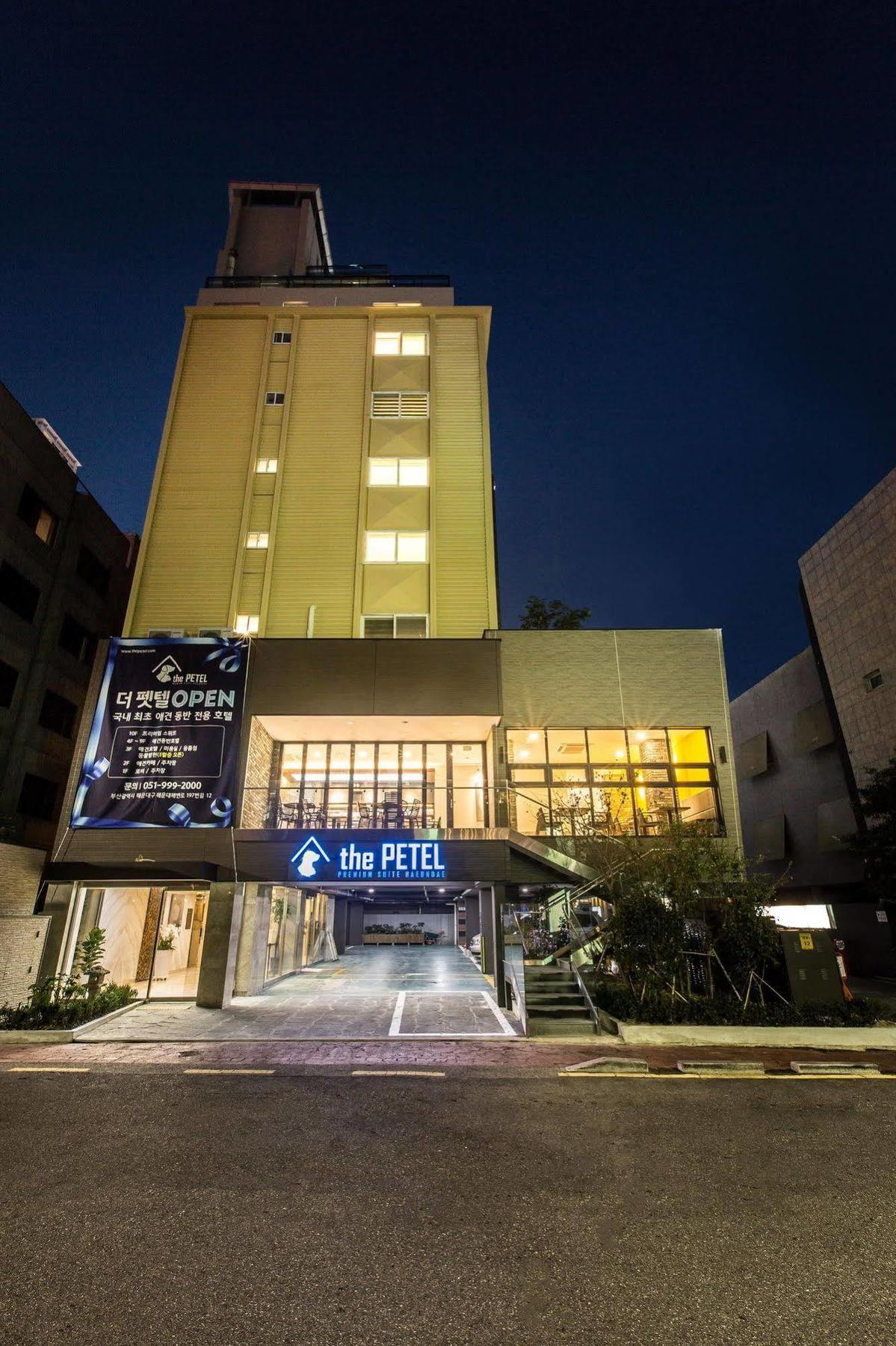 Hotel Sleep With Your Own Pet Only - The Petel