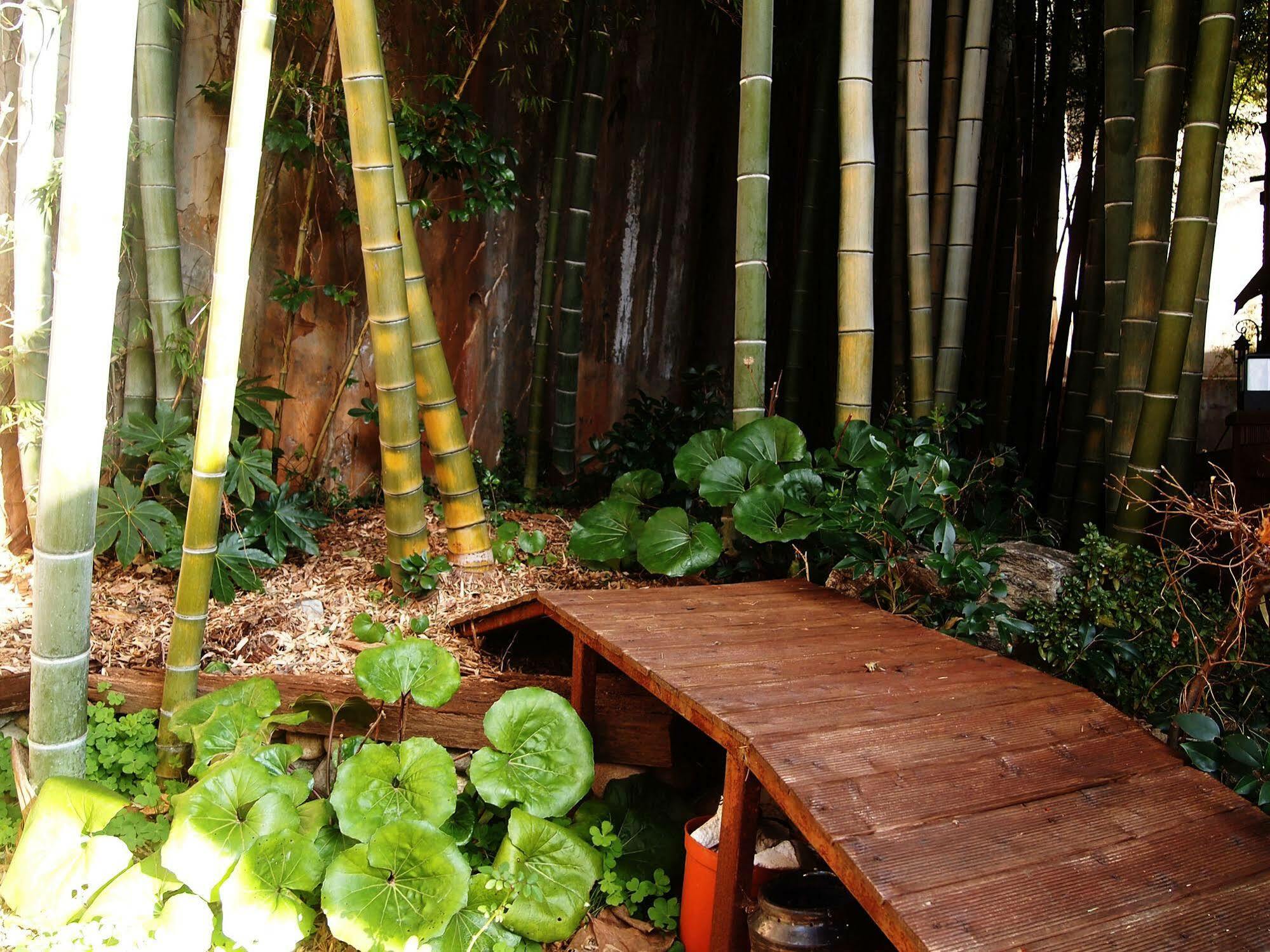 Secret Garden B Hotel