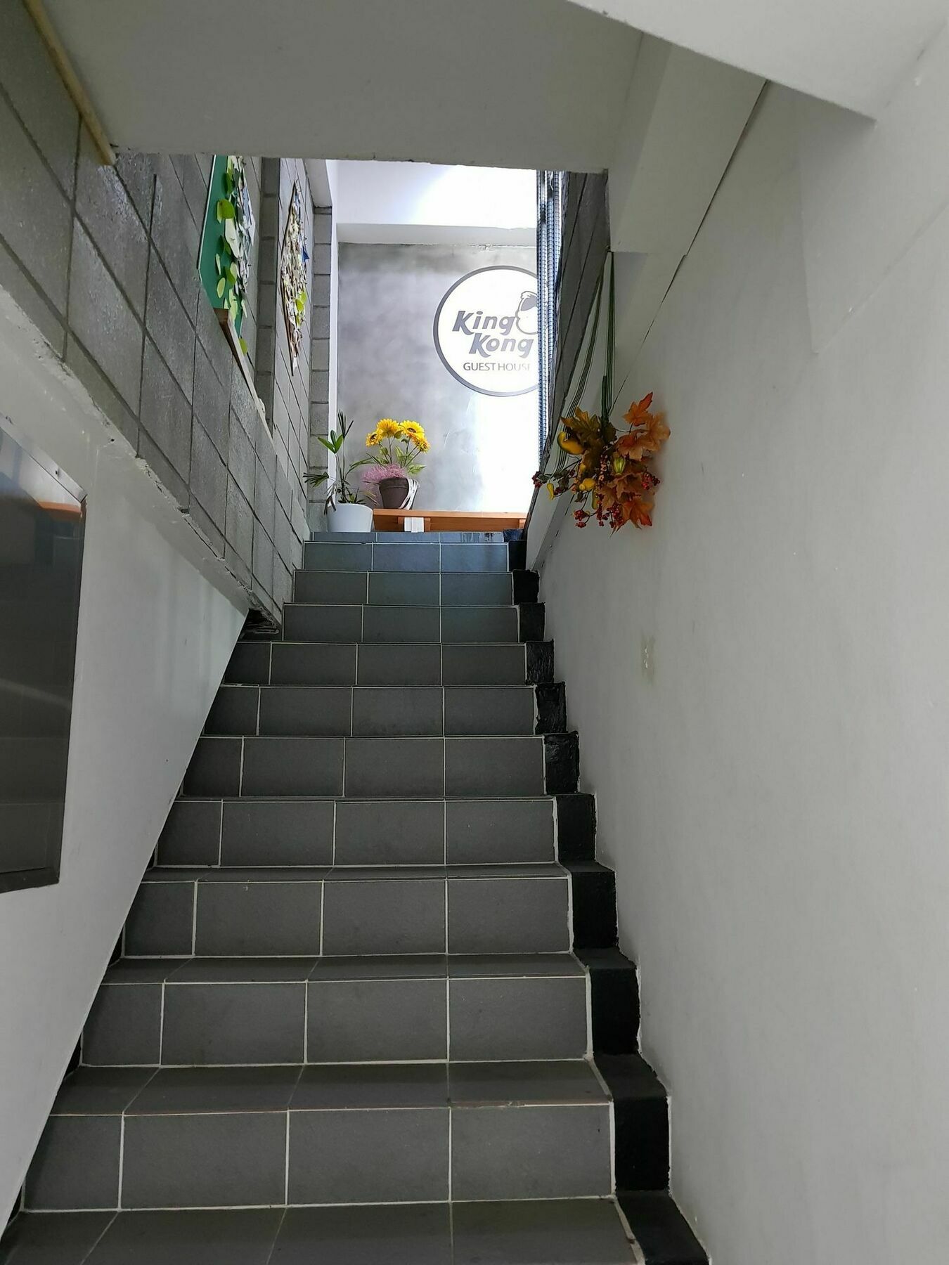 Guest house Kingkong Busan