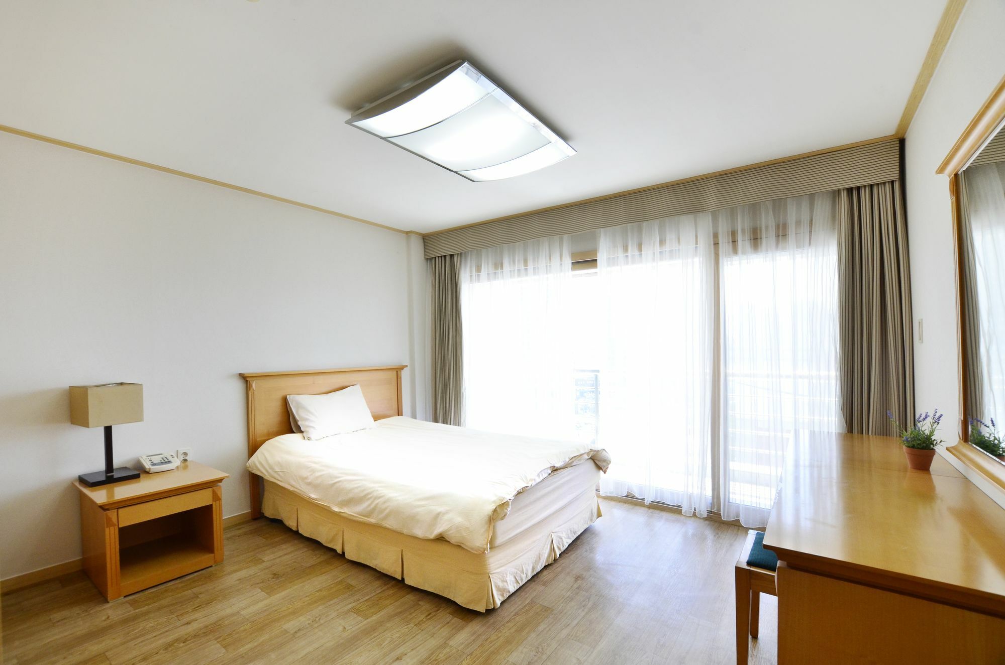 Hotel Tourism Organization Arpina Busan