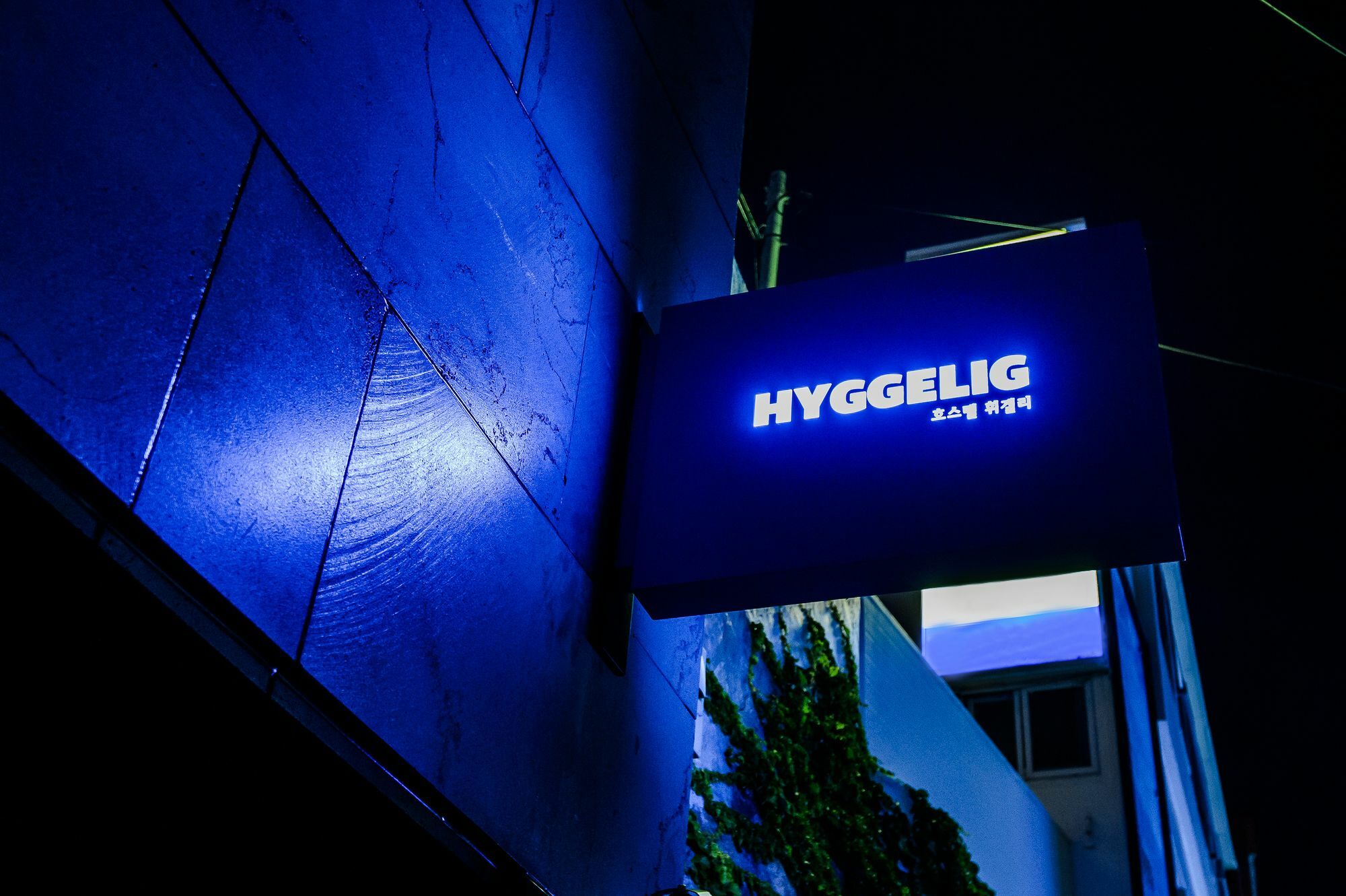 Hyggelig Ostello *