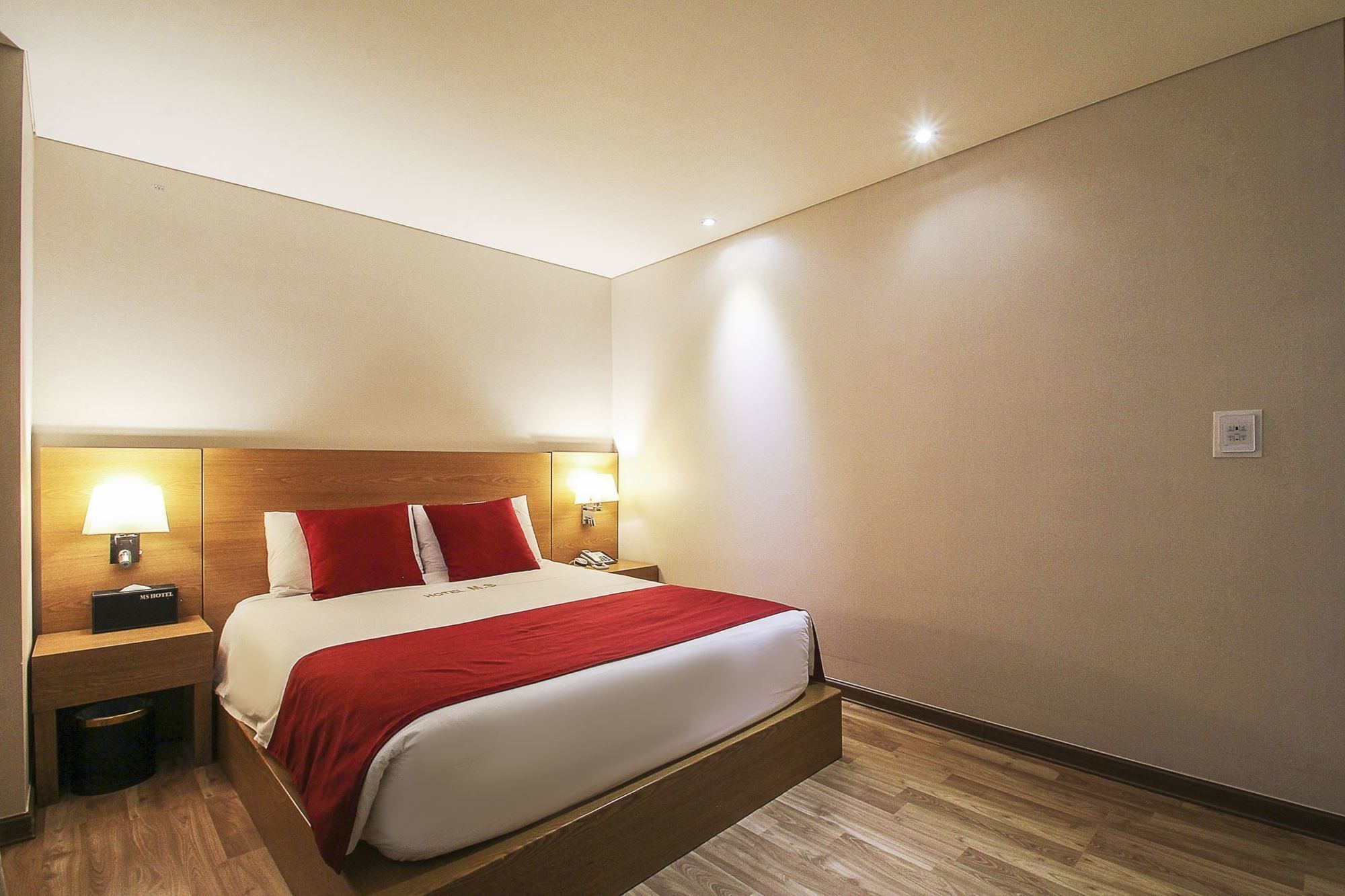 Hotel Ms 3*