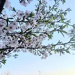 Namcheon Story