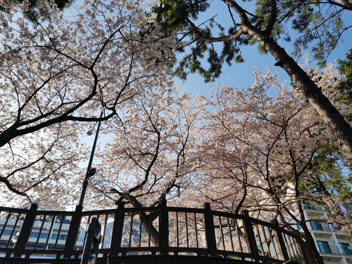 Suntree 2* Busan