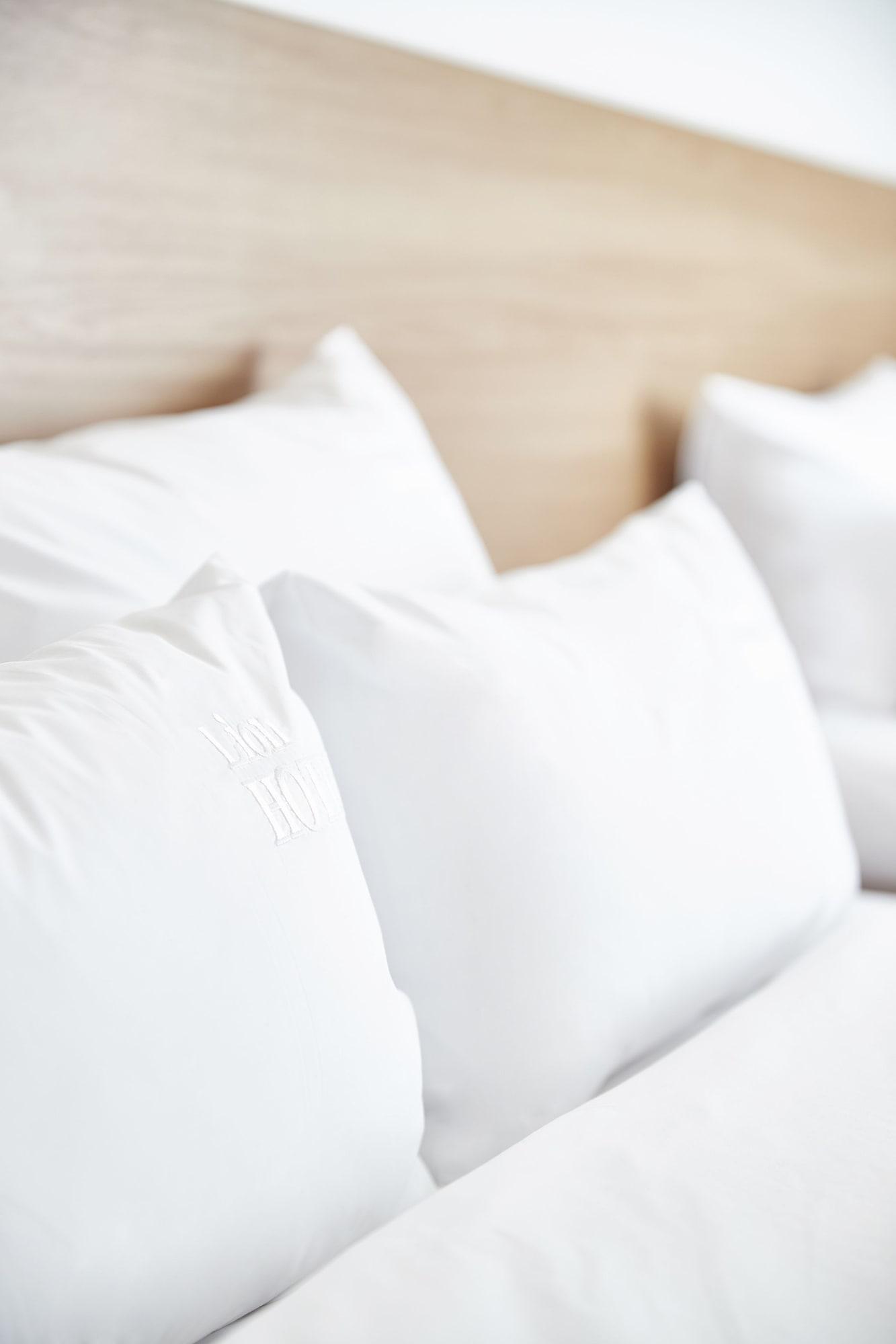 Hotel Lion 3*