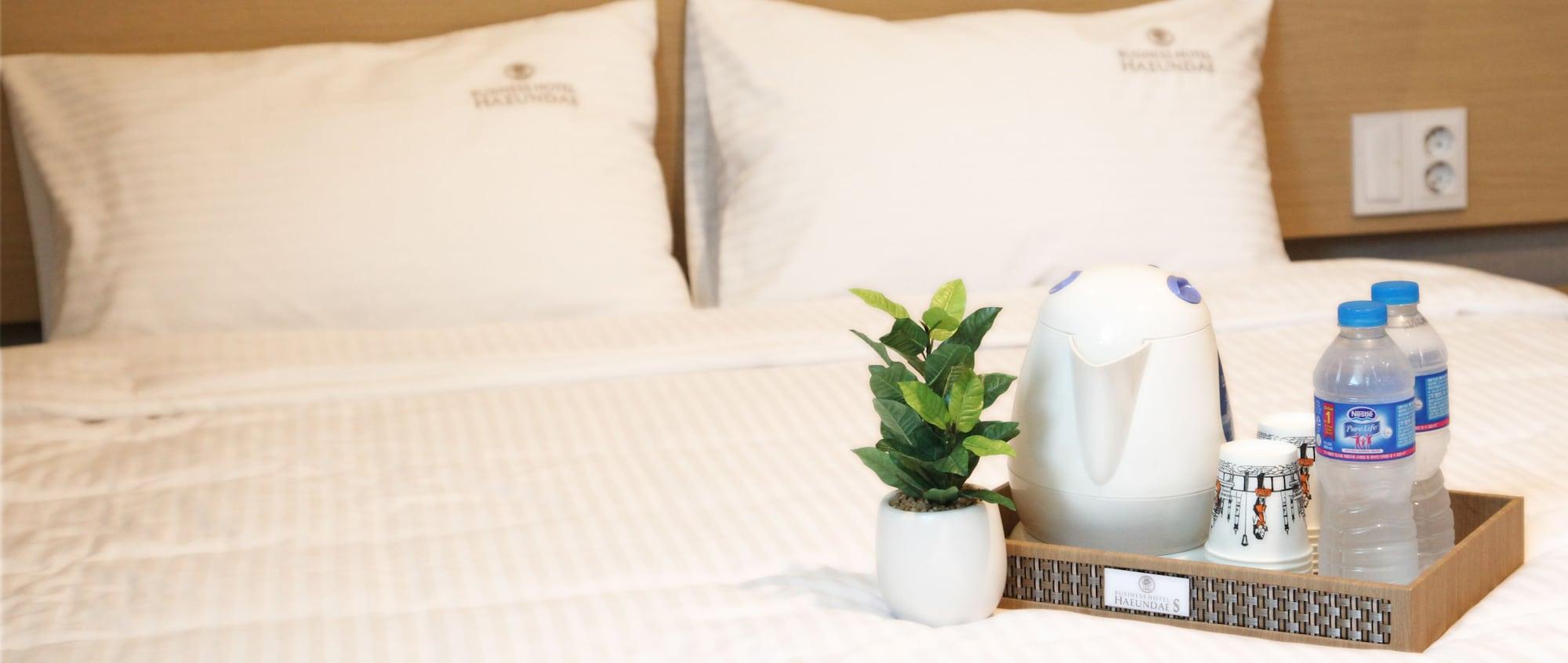Business Haeundae S Hotel