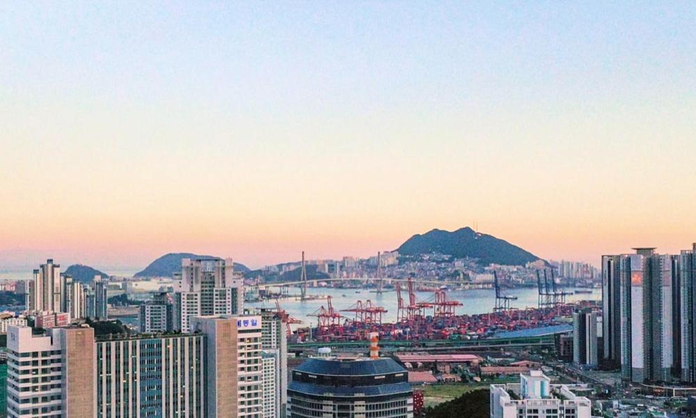 Allzip Archieve4h Busan