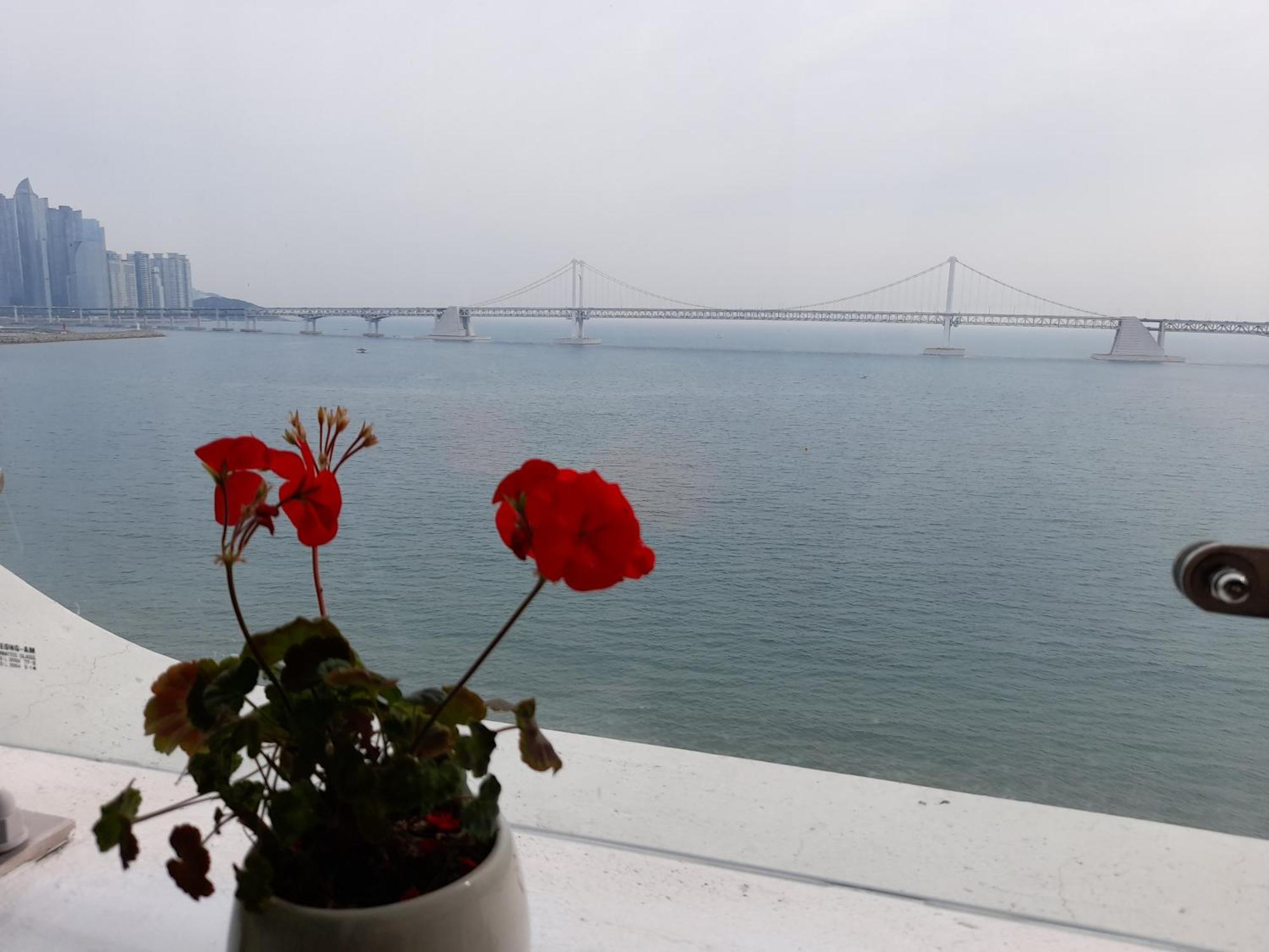 Gwangalli Ocean View One Studio * Busan