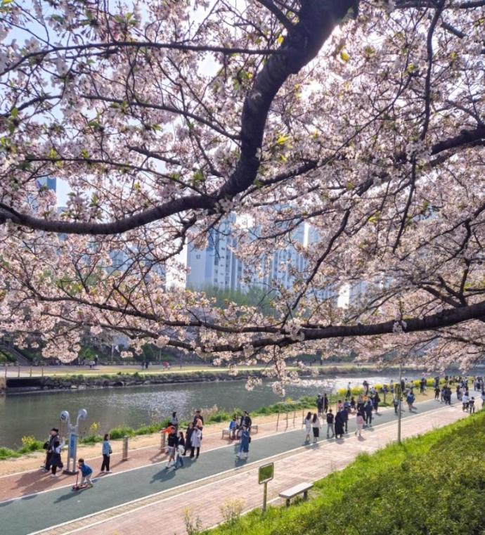 Torry House Pousada Busan