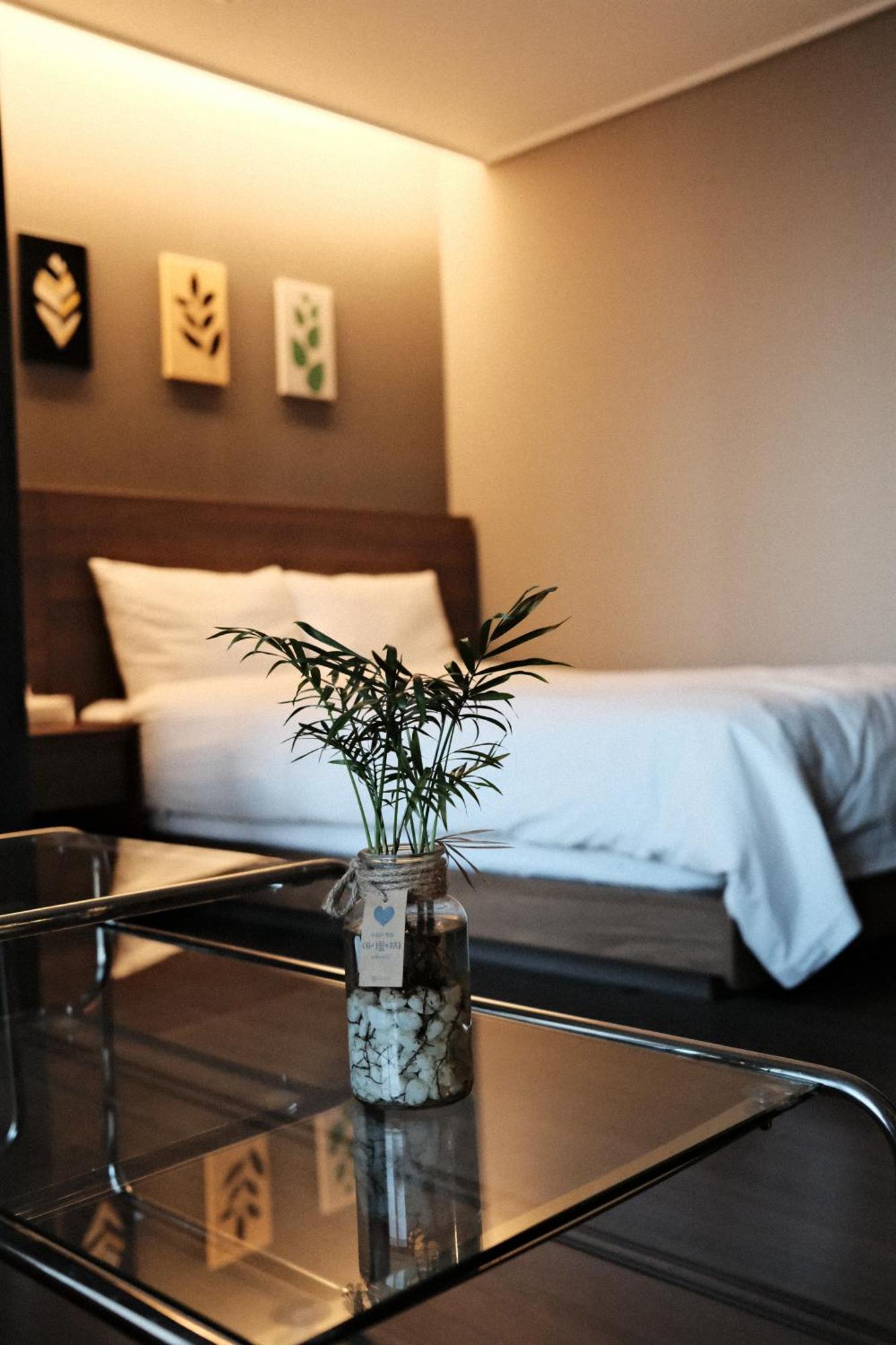Hotel Elbon The *