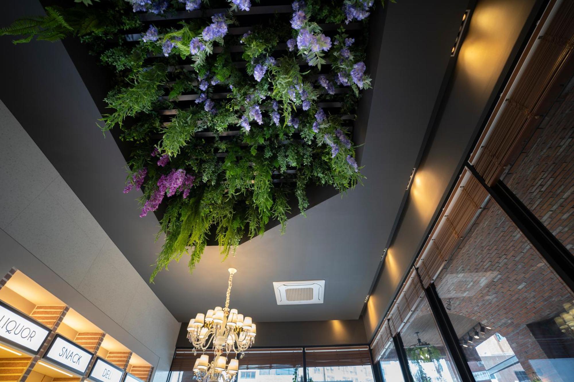 Hotel South Vandeco 2*