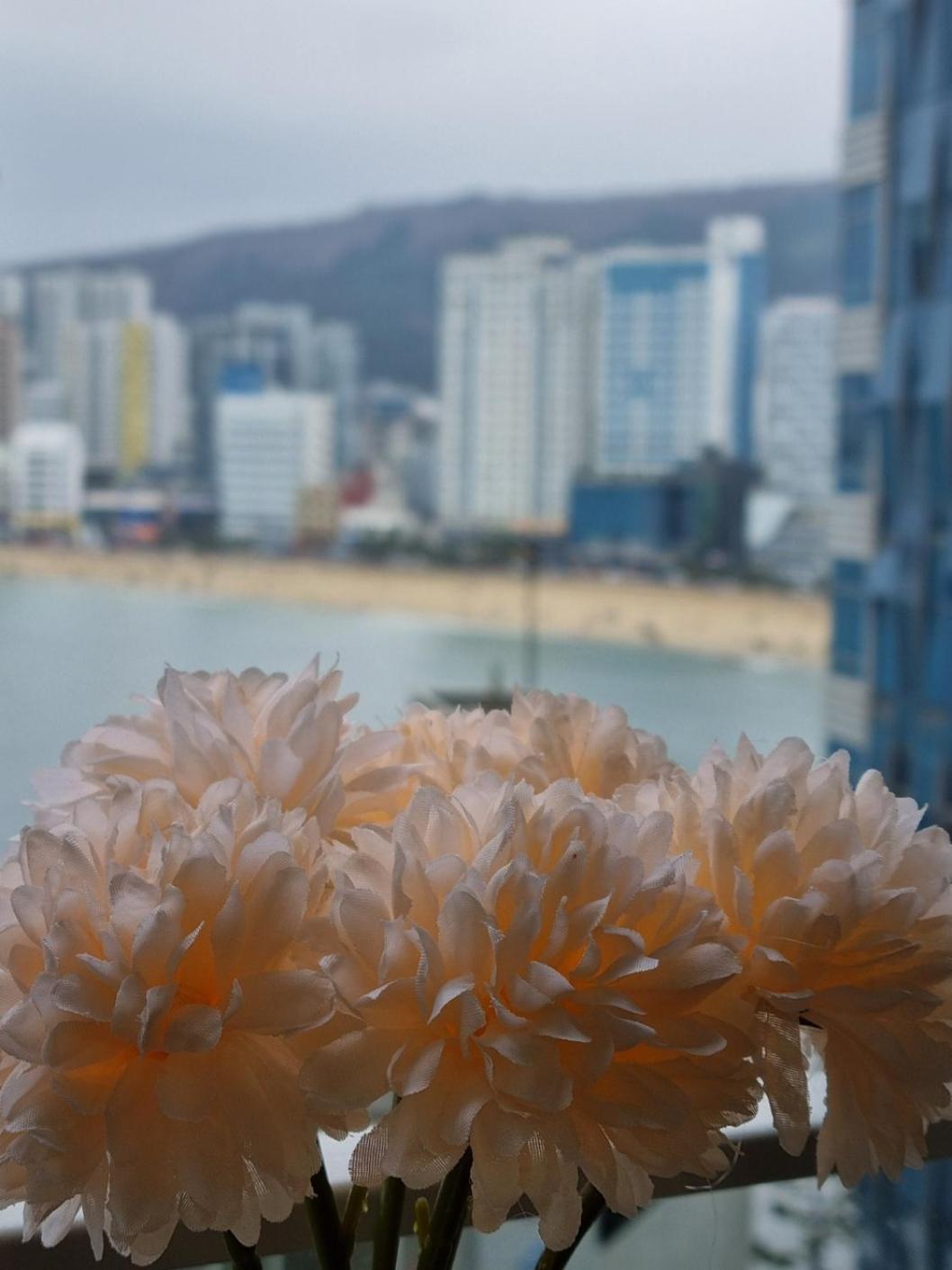 Gwangan Bridge Coni House Apartment Busan