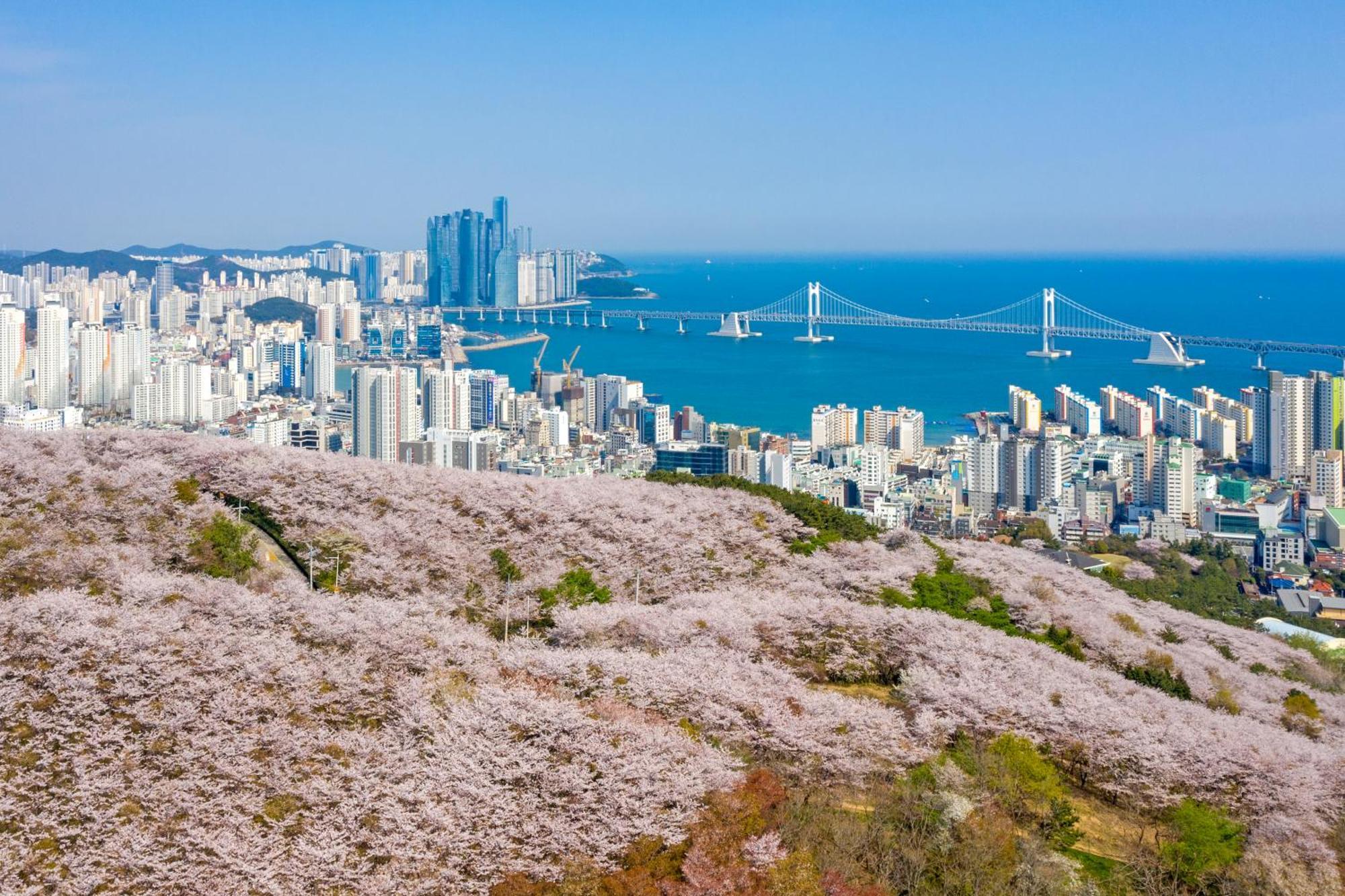 Gwangalli-planet16 * Busan