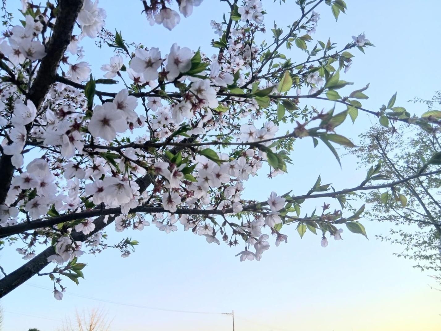 Namcheon Story * Busan