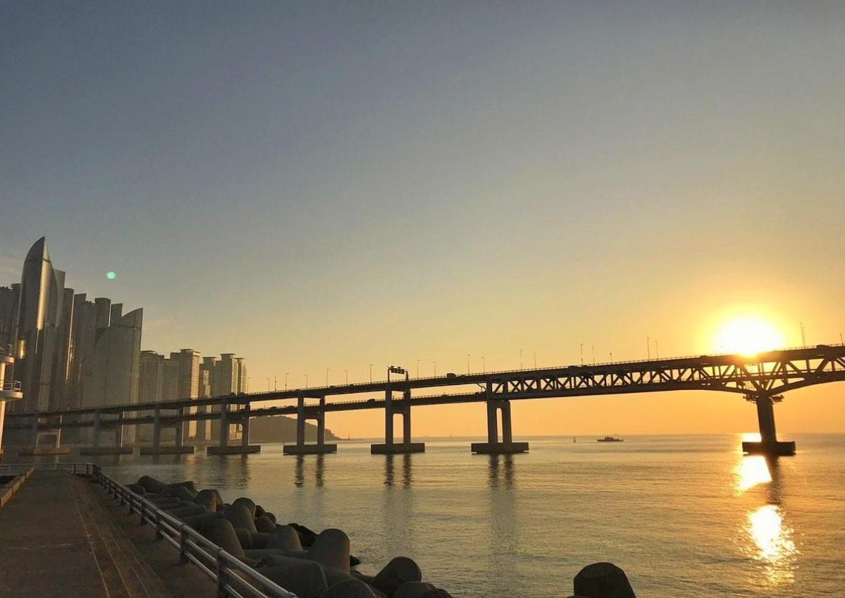 Torry House Busan