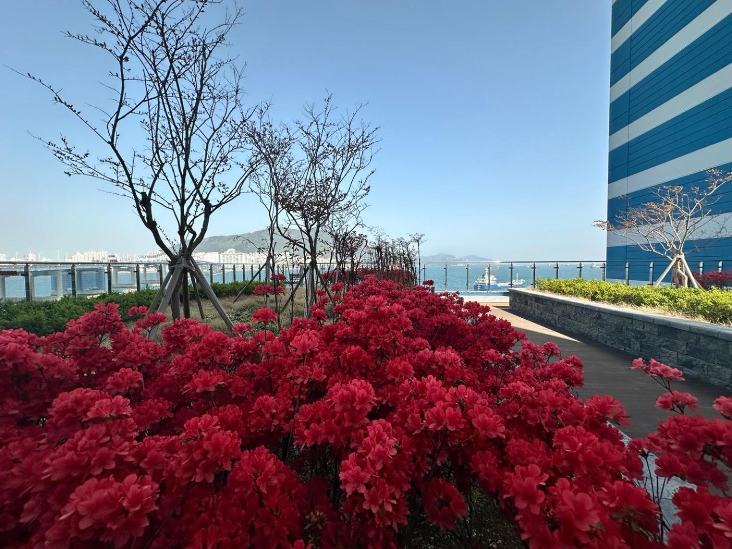 The December Songdo Ocean Terrace Hotel