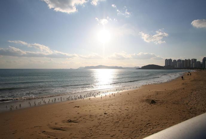 Dalmaji 2* Busan