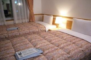 Toyoko Jungang Station Hotel 3*