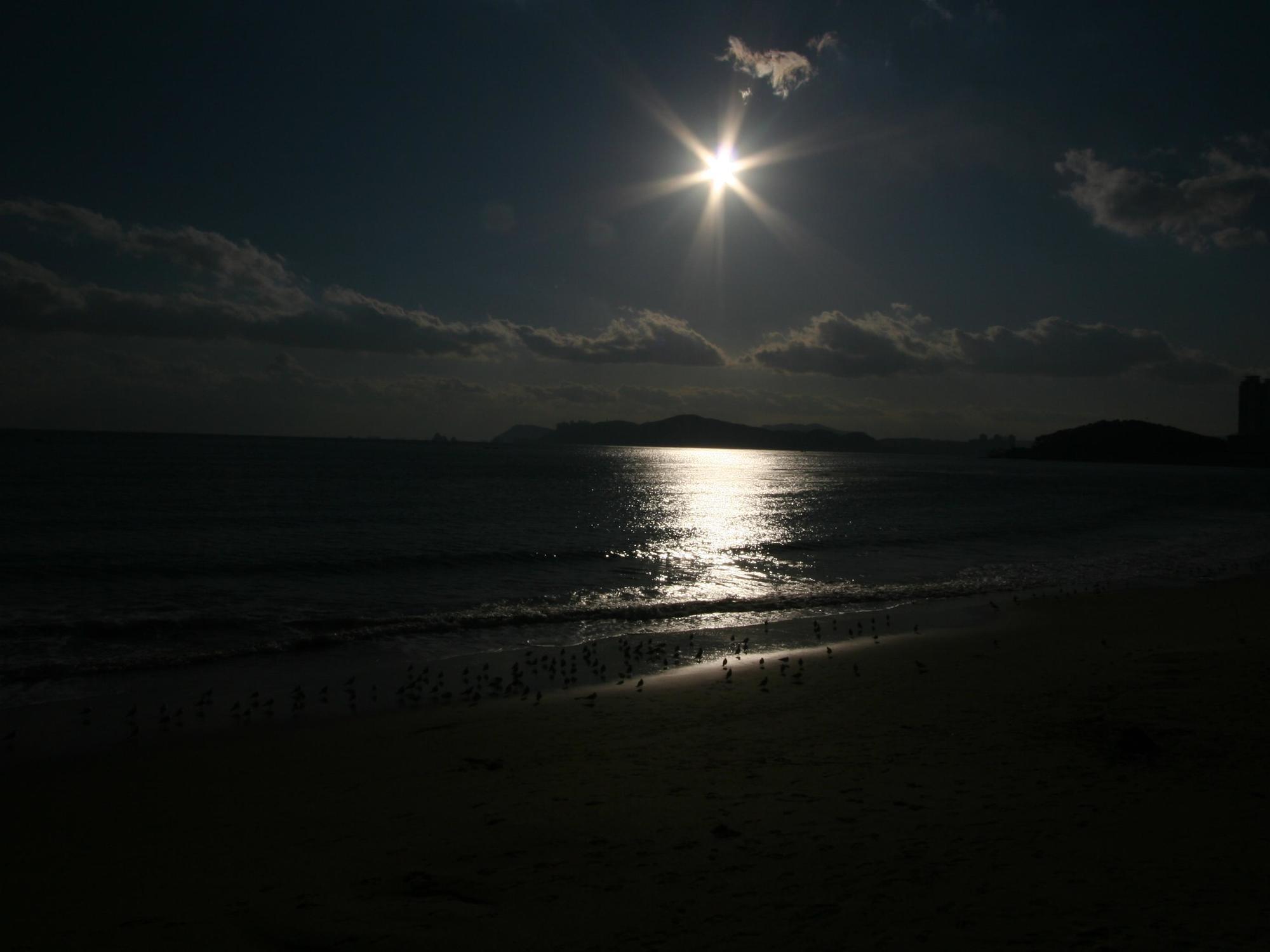 Dalmaji Busan