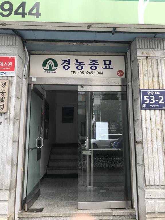 Mint House - Female Only Guest house