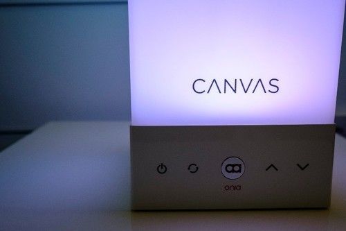 Canvas * Busan
