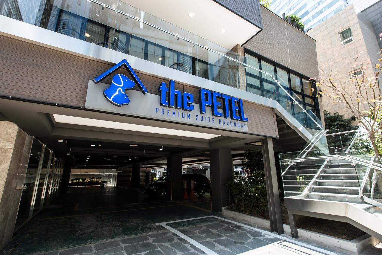 The Petel Premium 3*