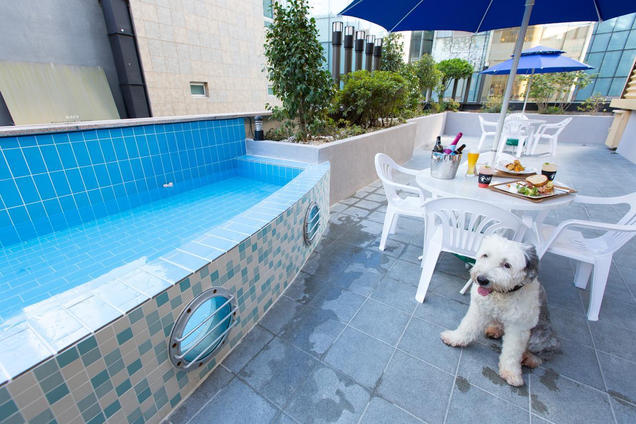 The Petel Premium Busan