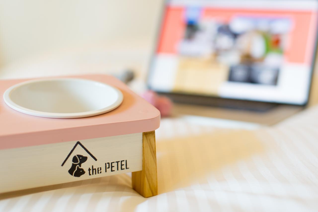 The Petel Premium 3* Busan