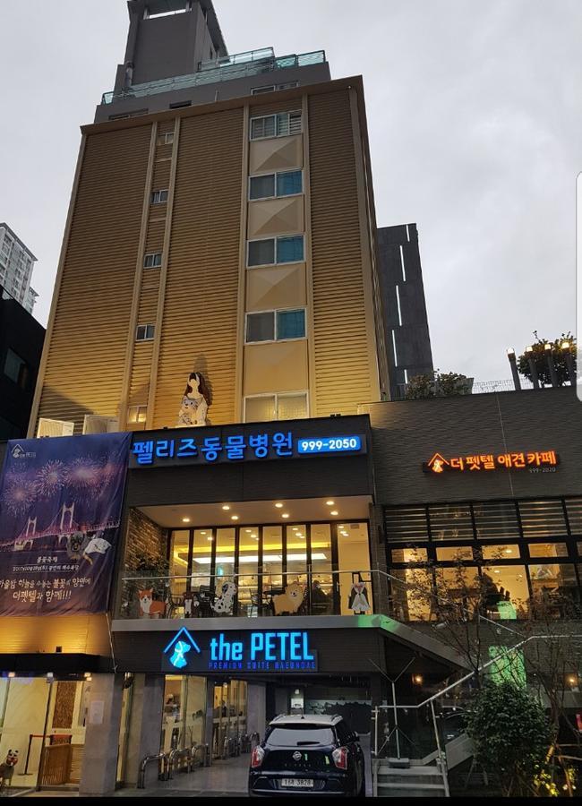 The Petel Premium Hotel 3*