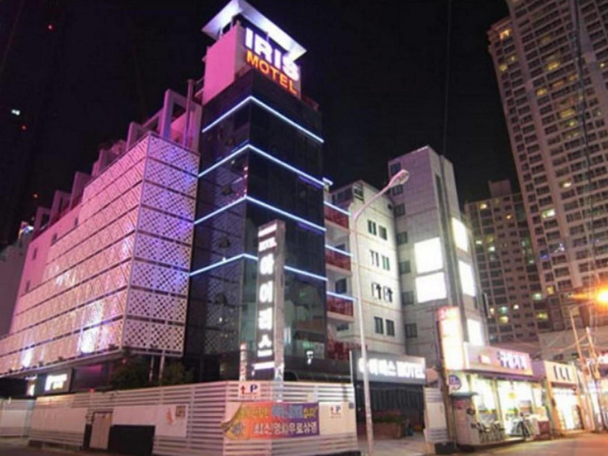 Iris Busan