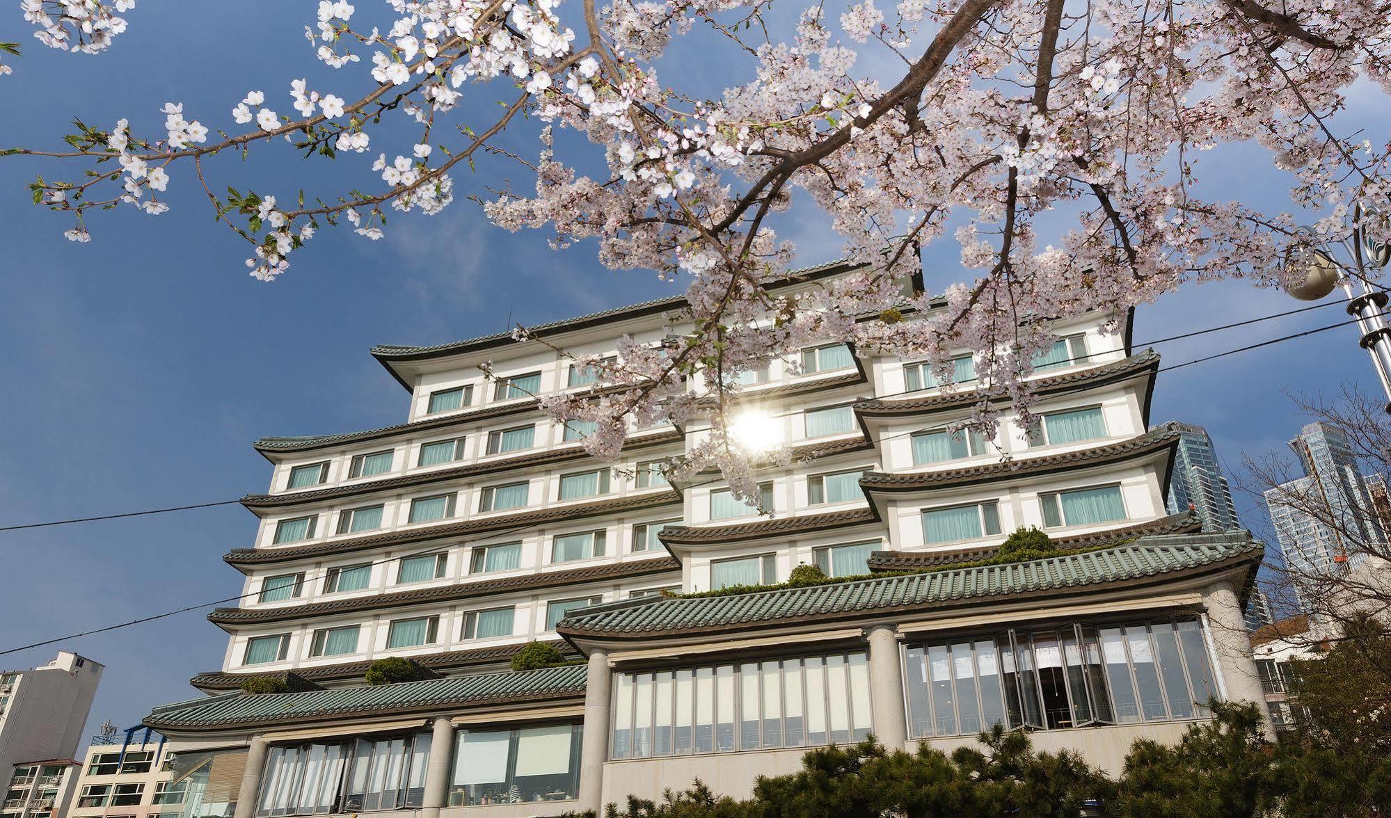 Illua Hotel