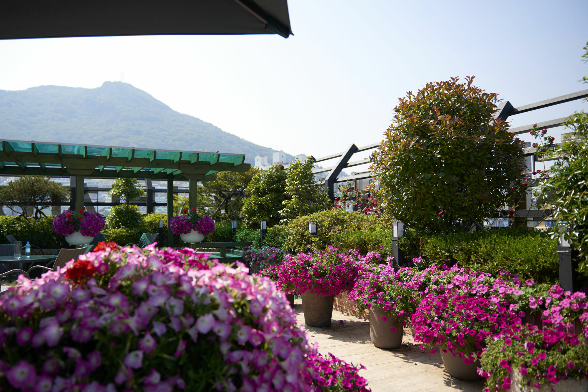 Hotel Songdo Busan