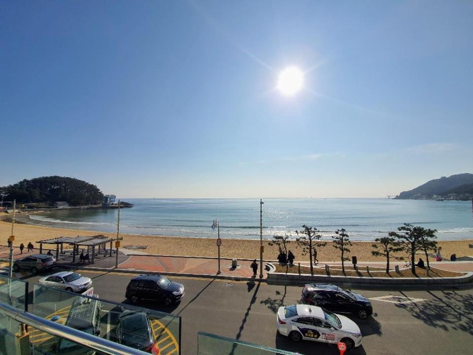 Sloth Songjeong Busan