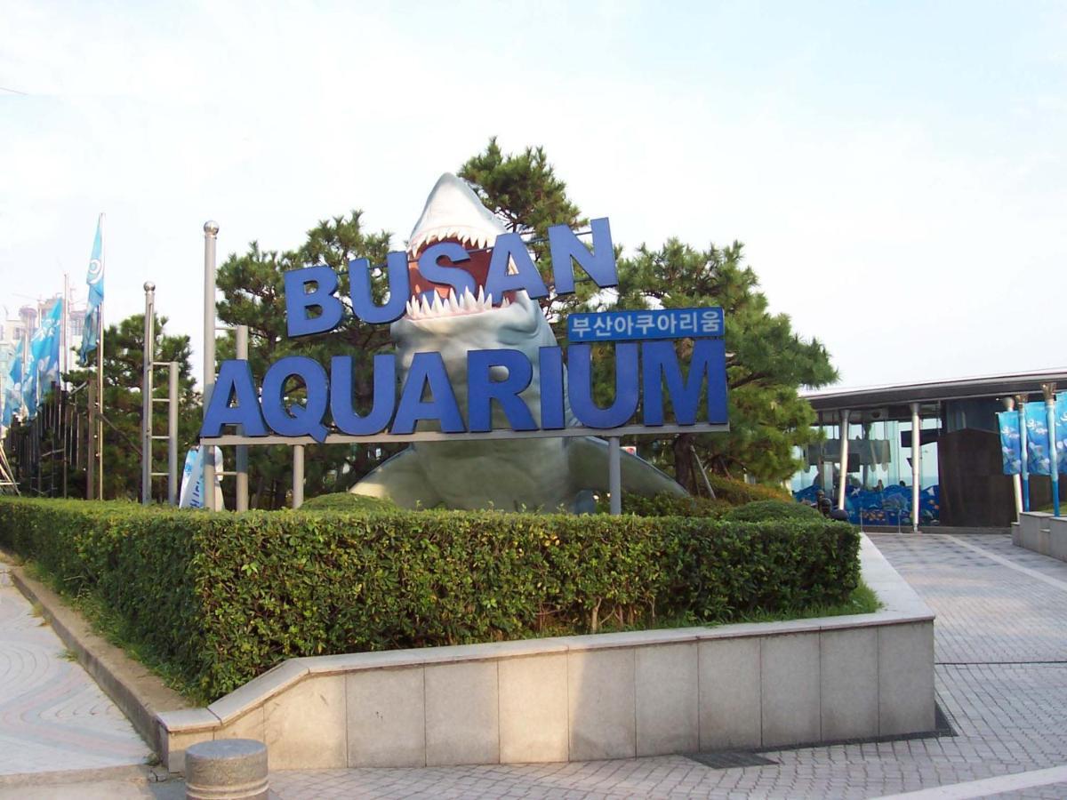 Haeundae Luxury House Busan