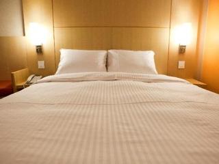 Hotel Ibis Ambassador Centre