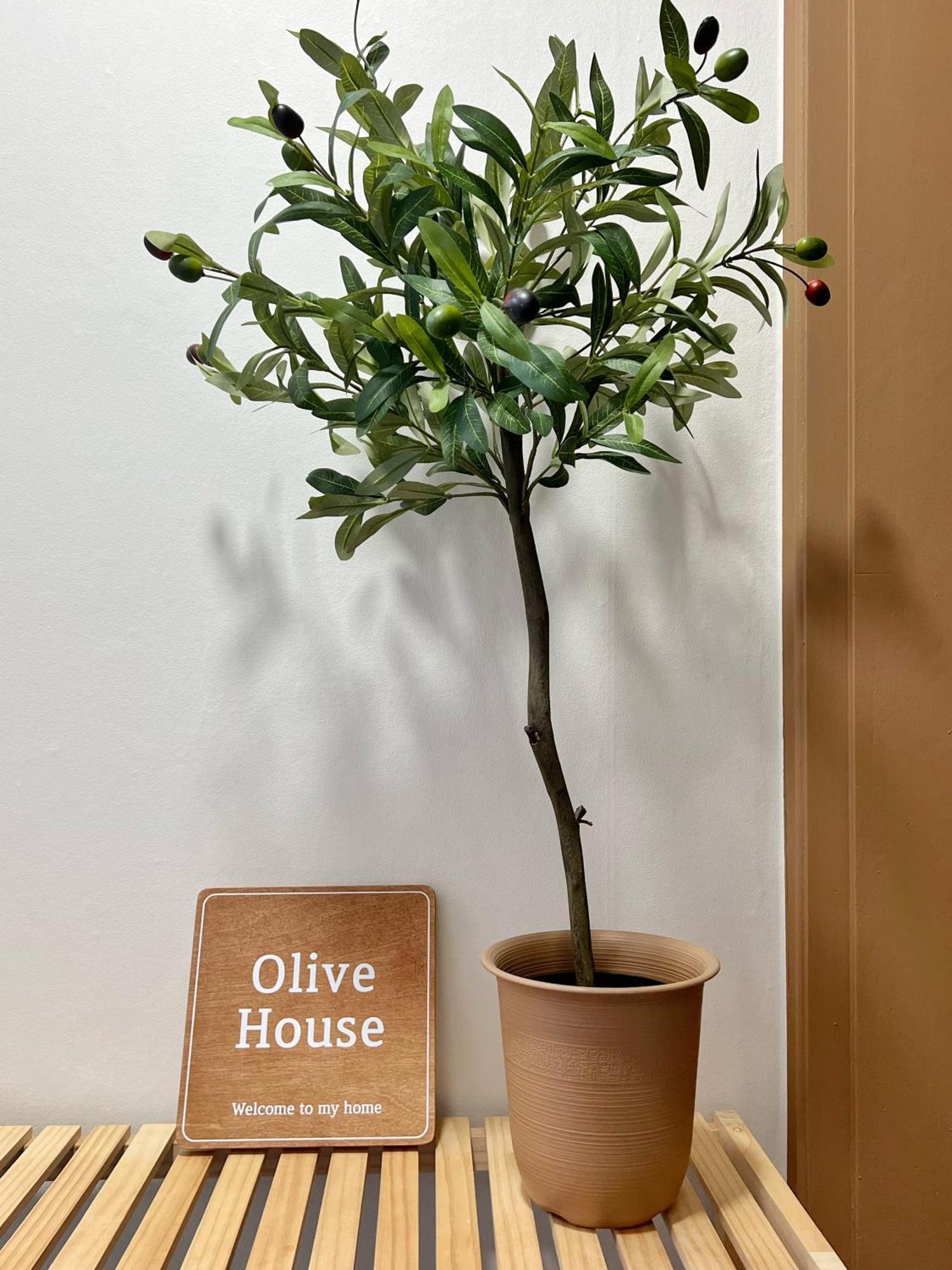 Olive House Gwangalli Apartment *