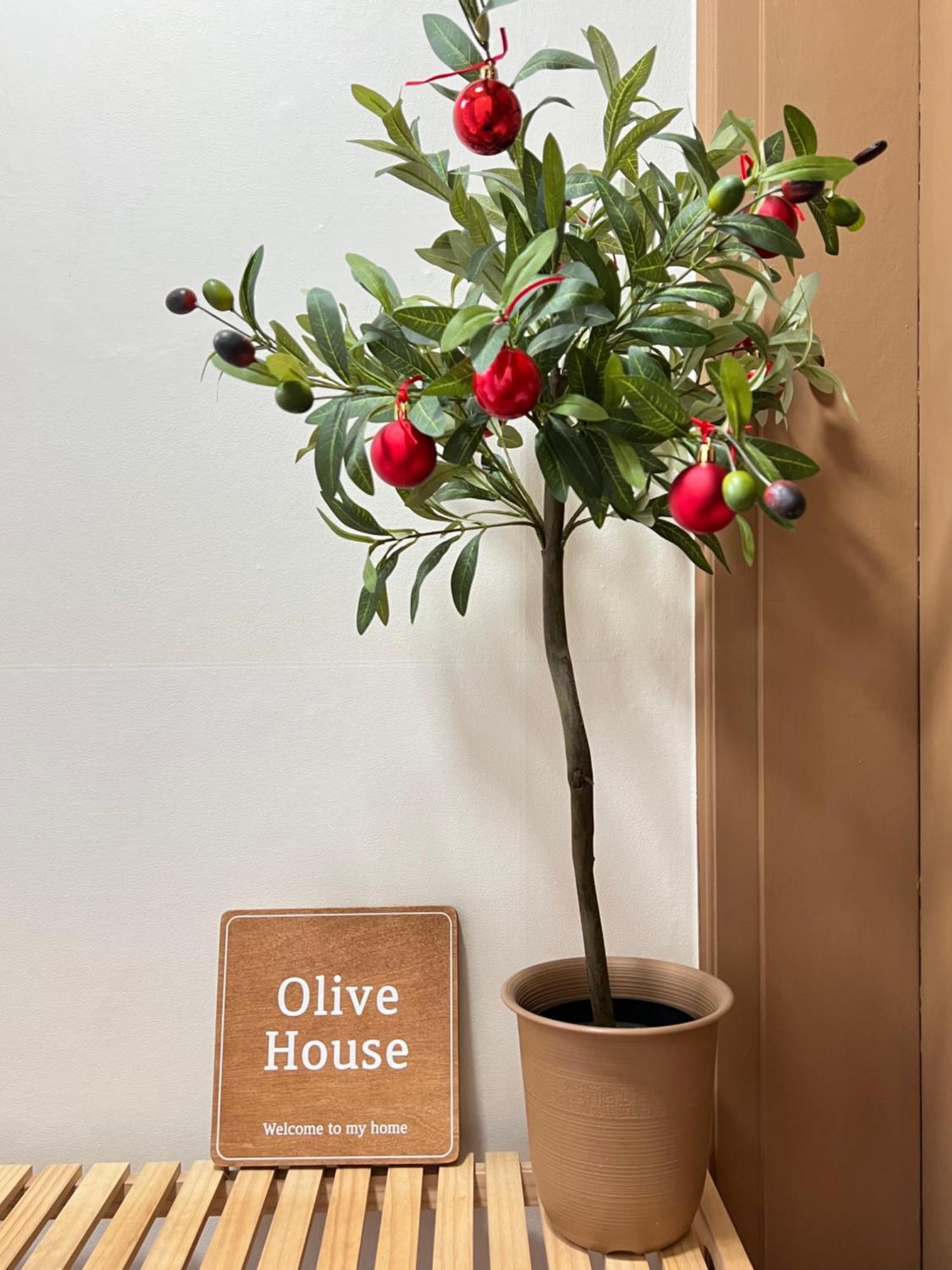 Olive House Gwangalli *