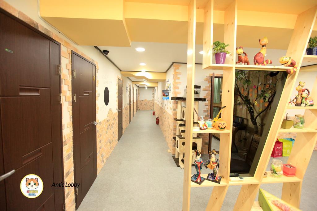 Hi Hostel *