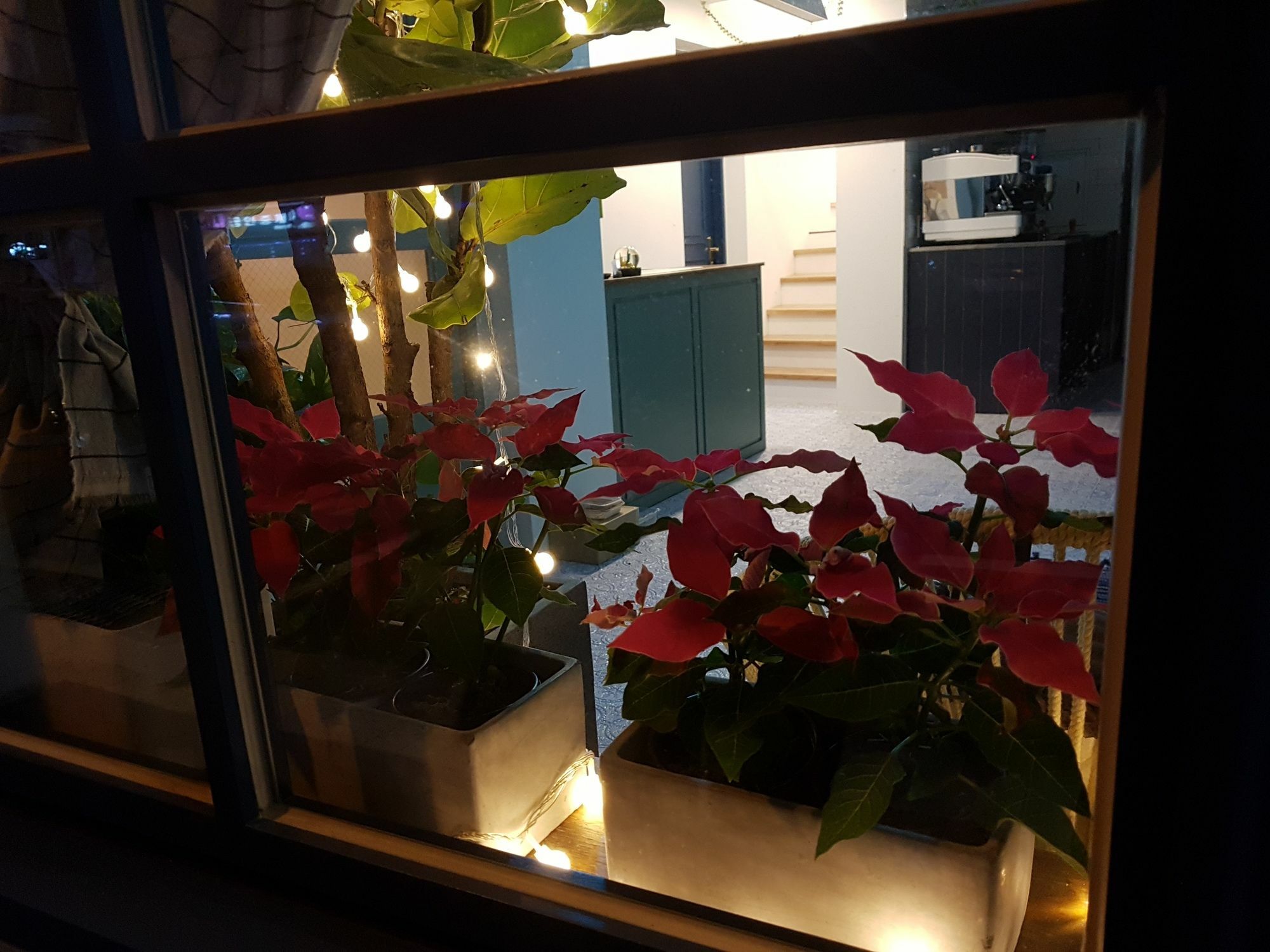 Hostel Single Single Busan